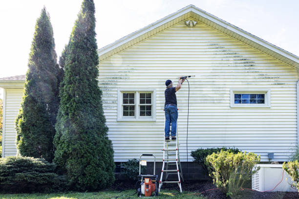 Best Building Exterior Pressure Washing in Delta Junction, AK
